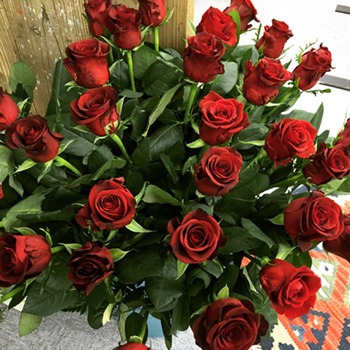 無我、ぎょうぶ、大口、河野 ありがとう！