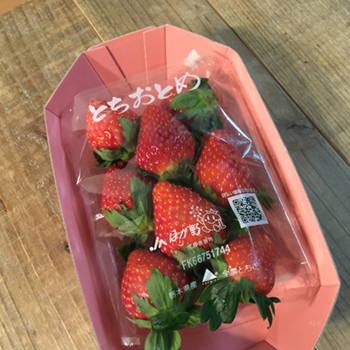 橋本くんありがとう！